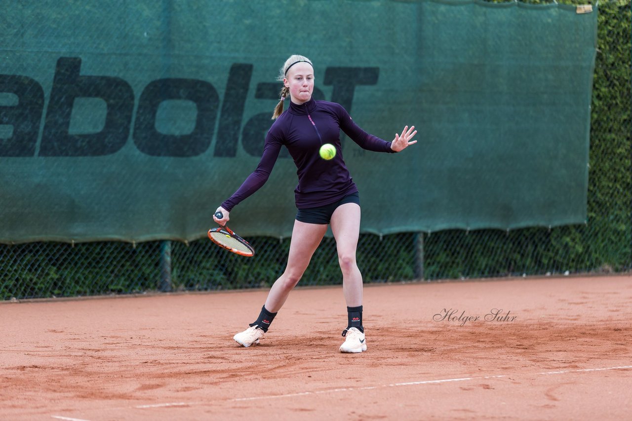 Bild 13 - NL VfL Westercelle - SVE Wiefelstede : Ergebnis: 8:1